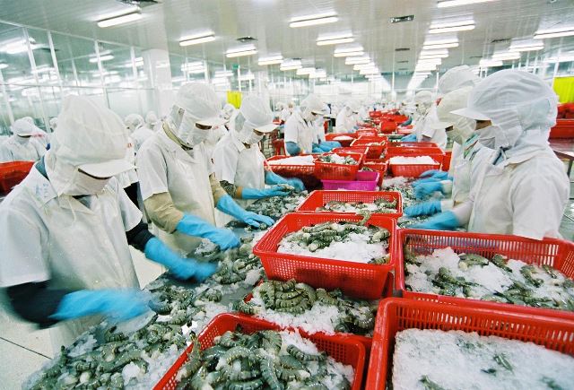 Nhờ nắm bắt được nhu cầu thị trường thế giới, thủy sản Việt Nam đã có chỗ đứng vững trên thị trường nhiều nước
