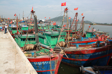 Tàu cá neo đậu trái phép trong khu vực cầu cảng đe dọa an toàn hằng hải