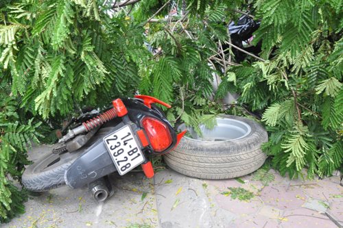 Xe máy bị đâm khi đi cùng chiều với chiếc xe ô tô cũng bị cành cây đè lên