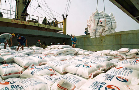 Bốc xếp gạo xuất khẩu