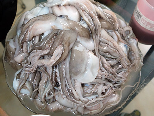 Ăn sống, tái bạch tuộc có nguy cơ nhiễm sán cao - Ảnh: Bạch Dương