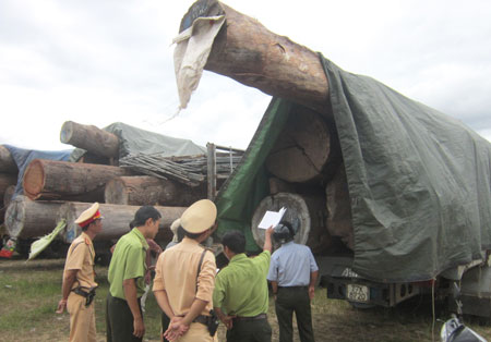 Đoàn xe chở gỗ siêu quá tải bị lực lượng chức năng bắt giữ