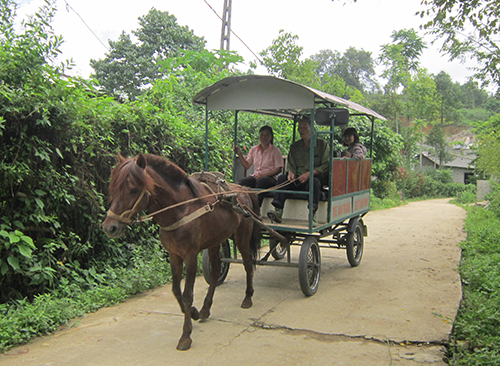 Chiếc xe ngựa chở khách duy nhất đi khắp những nẻo đường của phố huyện.