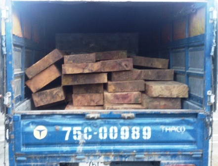 28 phách gỗ với hơn 2,5m3 trên xe ô tô BKS 75C - 00989 bị lực lượng Cảnh sát Môi trường bắt giữ sáng 4/9
