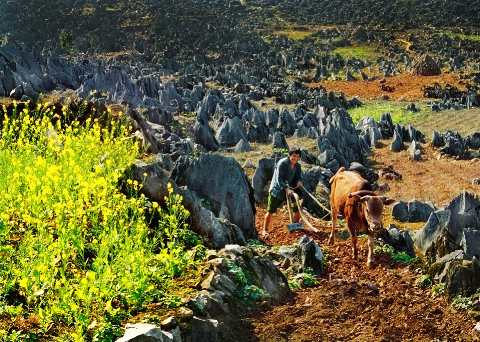 Cao nguyên đá Đồng Văn - công viên địa chất toàn cầu