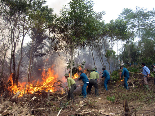 Phương tiện thô sơ khiến cho thời gian chữa cháy rừng kéo dài, tăng thiệt hại - ảnh minh họa