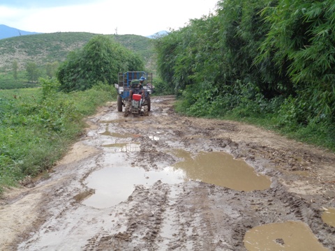 Quang năm học sinh thôn Noh Prông phải đi trên con đường lầy lội