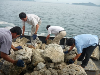 Chi cục khai thác và bảo vệ nguồn lợi thủy sản tỉnh Bình Định thả san hô (bị khai thác trái phép) xuống biển Quy Nhơn - ảnh báo Bình Định