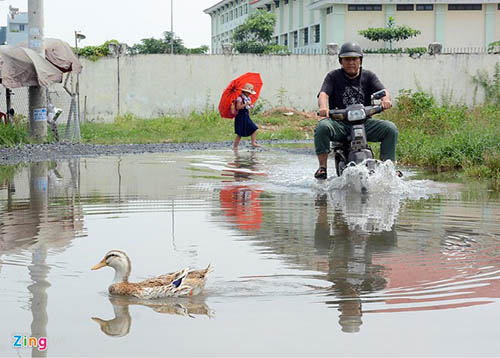 Ông Phùng Văn Quốc, một người dân sống bên đường cho biết: “Mỗi khi trời mưa, con đường này lại ngập mênh mông, nhiều học sinh đi học về bị té ngã, ướt quần áo, cặp sách trông rất tội nghiệp. Mong sao cho chính quyền các cấp làm lại đường mới cho khang trang để cho các em học sinh đến trường an toàn hơn.”