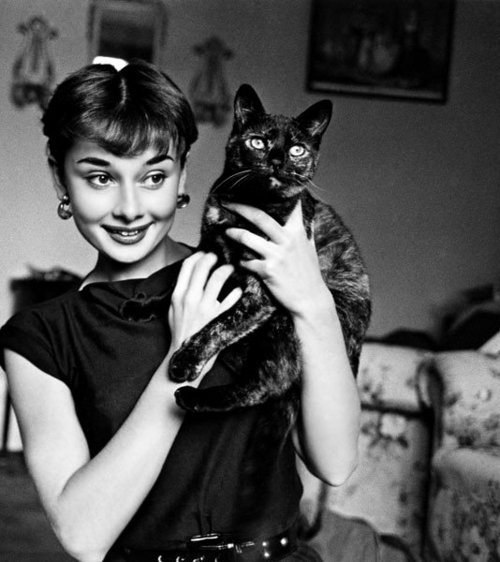 Qua đời tại Tolochnaz, Thụy Sĩ năm 1993 vì căn bệnh ung thư, Audrey vẫn được cả thế giới tưởng nhớ khi được chọn vào “Top 100 ngôi sao điện ảnh mọi thời đại”.