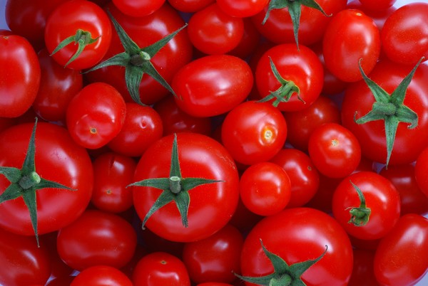 Cà chua được yêu thích ở nhiều nơi trên thế giới