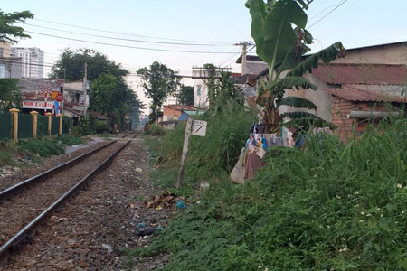 Một đoạn đường sắt qua TP Biên Hòa cỏ dại mọc um tùm