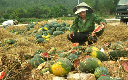 Sẽ không còn tình trạng XNK nông sản bị ùn ứ qua Lạng Sơn