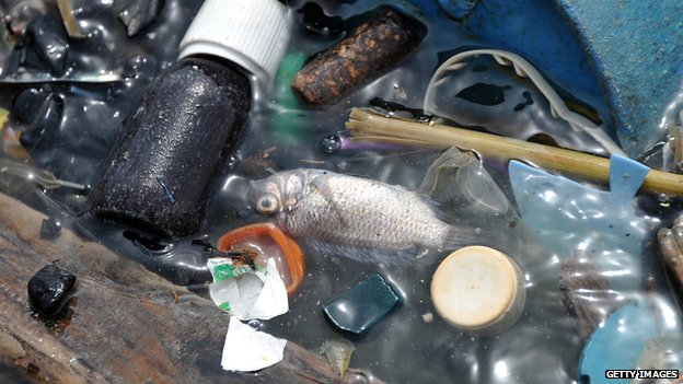 Ô nhiễm nguồn nước do rác thải điện thoai di động làm cá chết hàng loạt