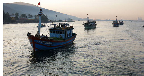 Ngư dân Đà Nẵng ra khơi bám biển.