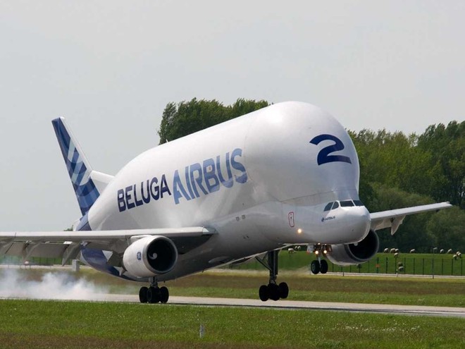 Chiếc vận tải cơ Airbus Beluga có thiết kế khí động học quái dị như một chú cá voi lưng gù. Người ta chế tạo vận tải cơ này để vận chuyển các loại hàng hóa quá khổ, quá tải. Nó có thể chở theo tải trọng hàng hóa tối đa 47 tấn. Ảnh: Business Insider