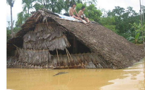 Nhiều ngôi nhà tại Bình Định bị nước lũ nhấn chìm.