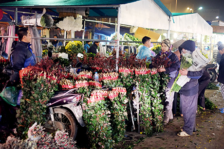 Những bông hoa tươi tại chợ hoa lâu đời của Thủ đô