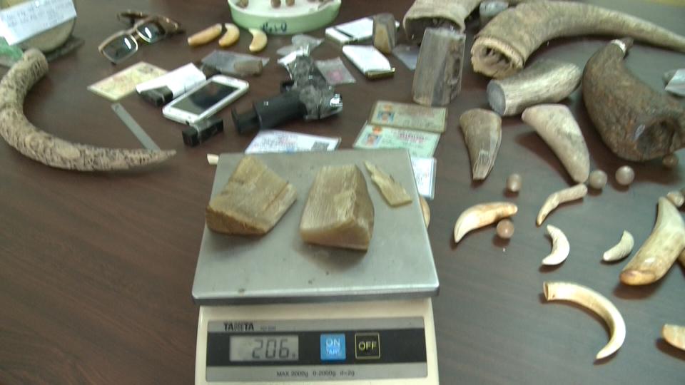 Số tang vật sừng tê giác bị thu giữ tại cơ quan điều tra