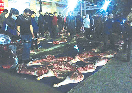 Chợ “lợn bẩn” ở xã Bình Phú tấp nập trong đêm