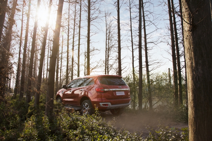 Ford Everest-Forest