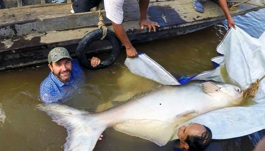 giant_cat_fish_09_11_2015_university_of_nevada_ren