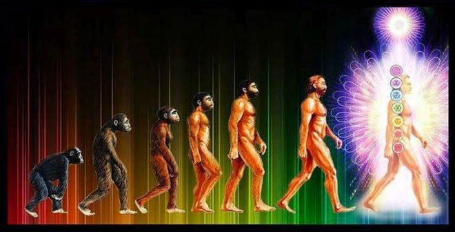human-evolution-and-consciousness-600x306-14424577