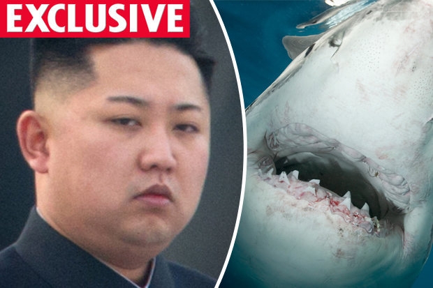 Kim-Jong-un-and-a-shark-in-North-Korea-540137