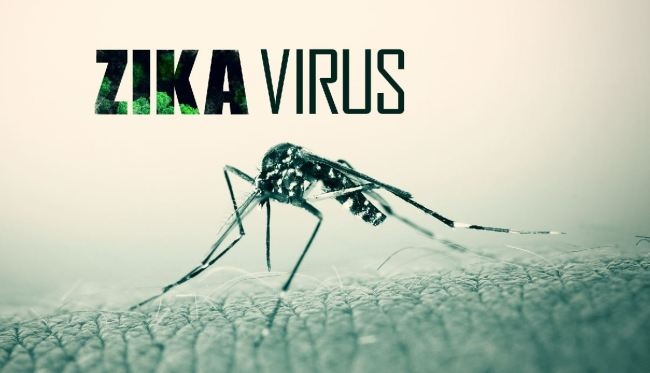 virus-zika-again