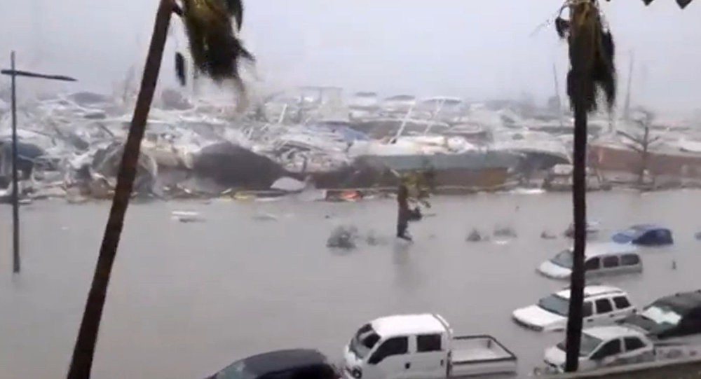 Bão irma