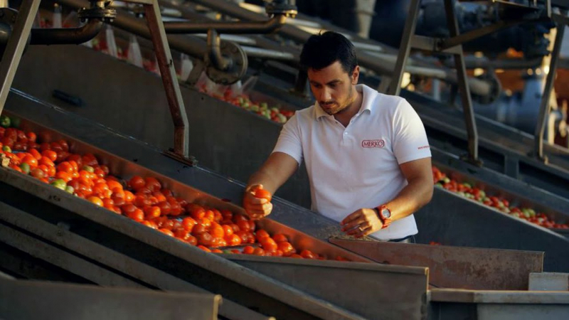 Sản xuất cà chua ở Thổ Nhĩ Kỳ
