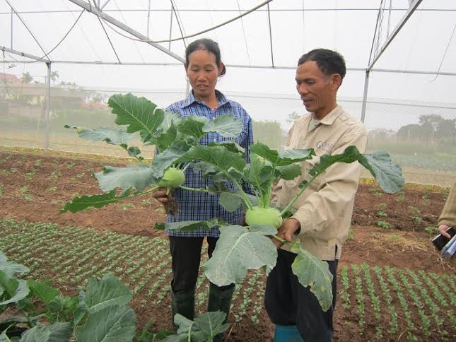 Bảo đảm an toàn thực phẩm dịp Tết Nguyên đán.