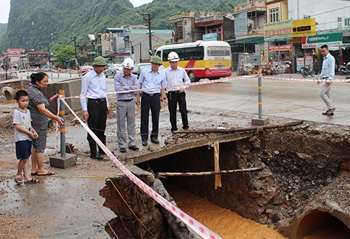 quang ninh