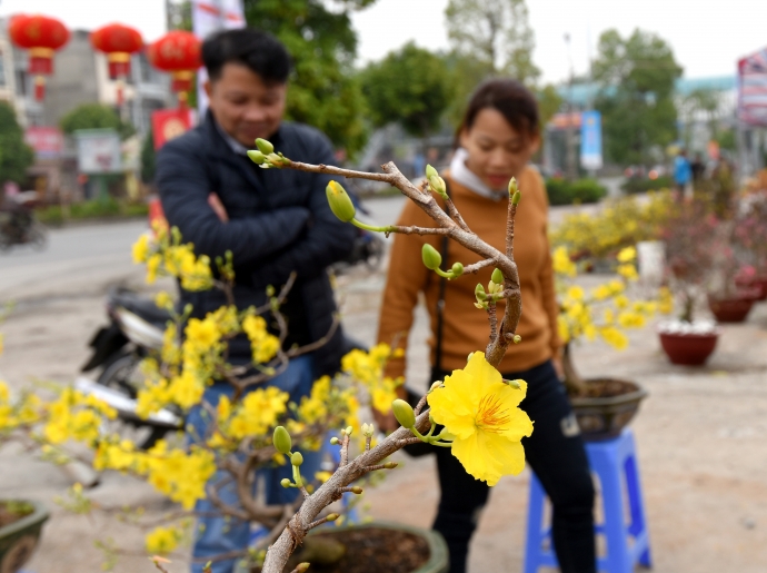 xuan-den-muon-o-cac-cho-hoa-tet-cua-ha-noi (2)