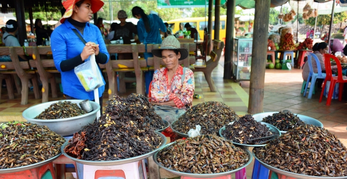 Chợ côn trùng ở Campuchiacác món như dế chiên, nhệ