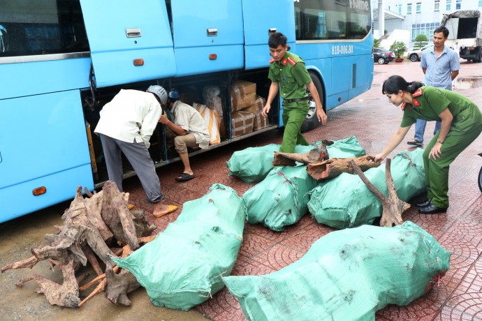 Lực lượng chức năng tiến hành bóc dỡ, tạm giữ lô h