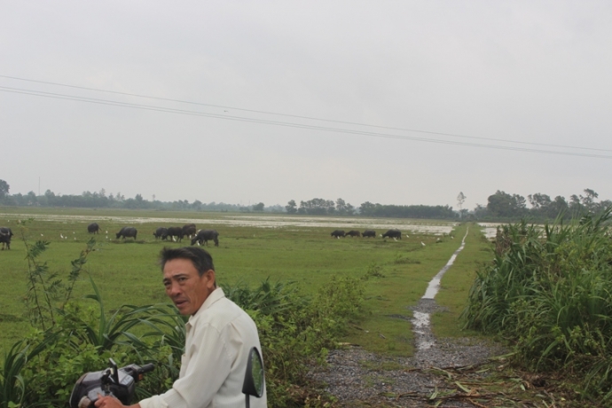 Nguoi- hung- lao- ra- dong- lu- du- cuu- nguoi- o-