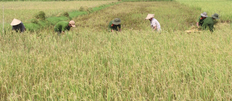 Xuc- dong- hinh- anh- Cong- an- loi- bun- gat- gan