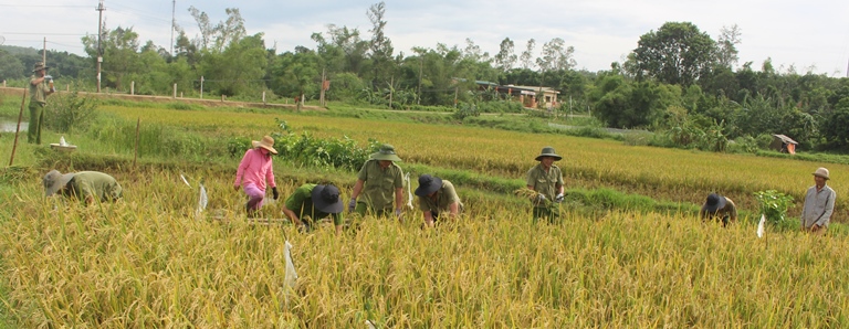 Xuc- dong- hinh- anh- Cong- an- loi- bun- gat- gan