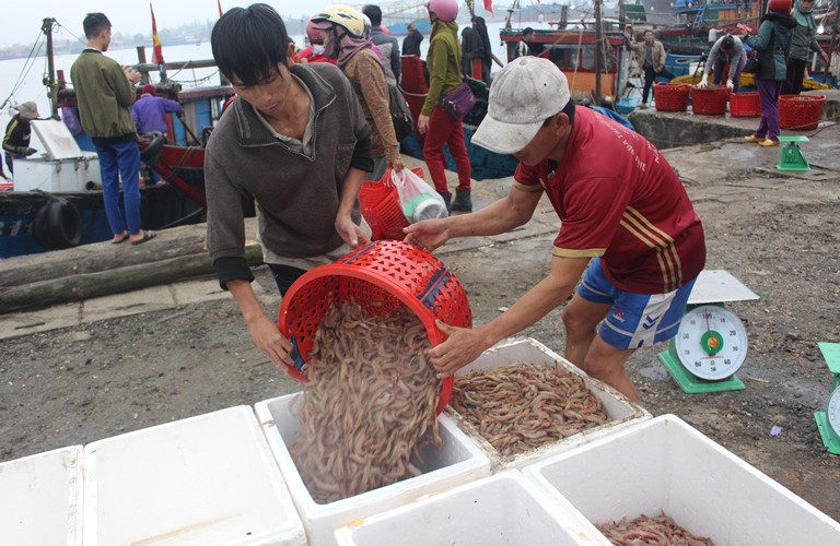 Ngu- dan- Quang- Tri- hoi- ha- bam- bien- sau- Tet