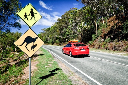 Kangaroo-crossing-sign-on-Nort-1118-6749-140972882