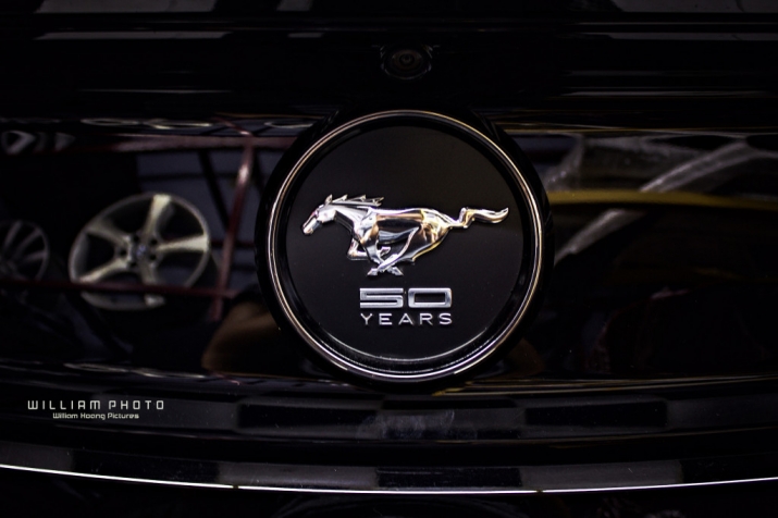 Xegiaothong_Ford-Mustang-50th-Years-Edition-viet-n