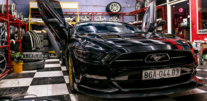 Xegiaothong_Ford-Mustang-50th-Years-Edition-viet-n