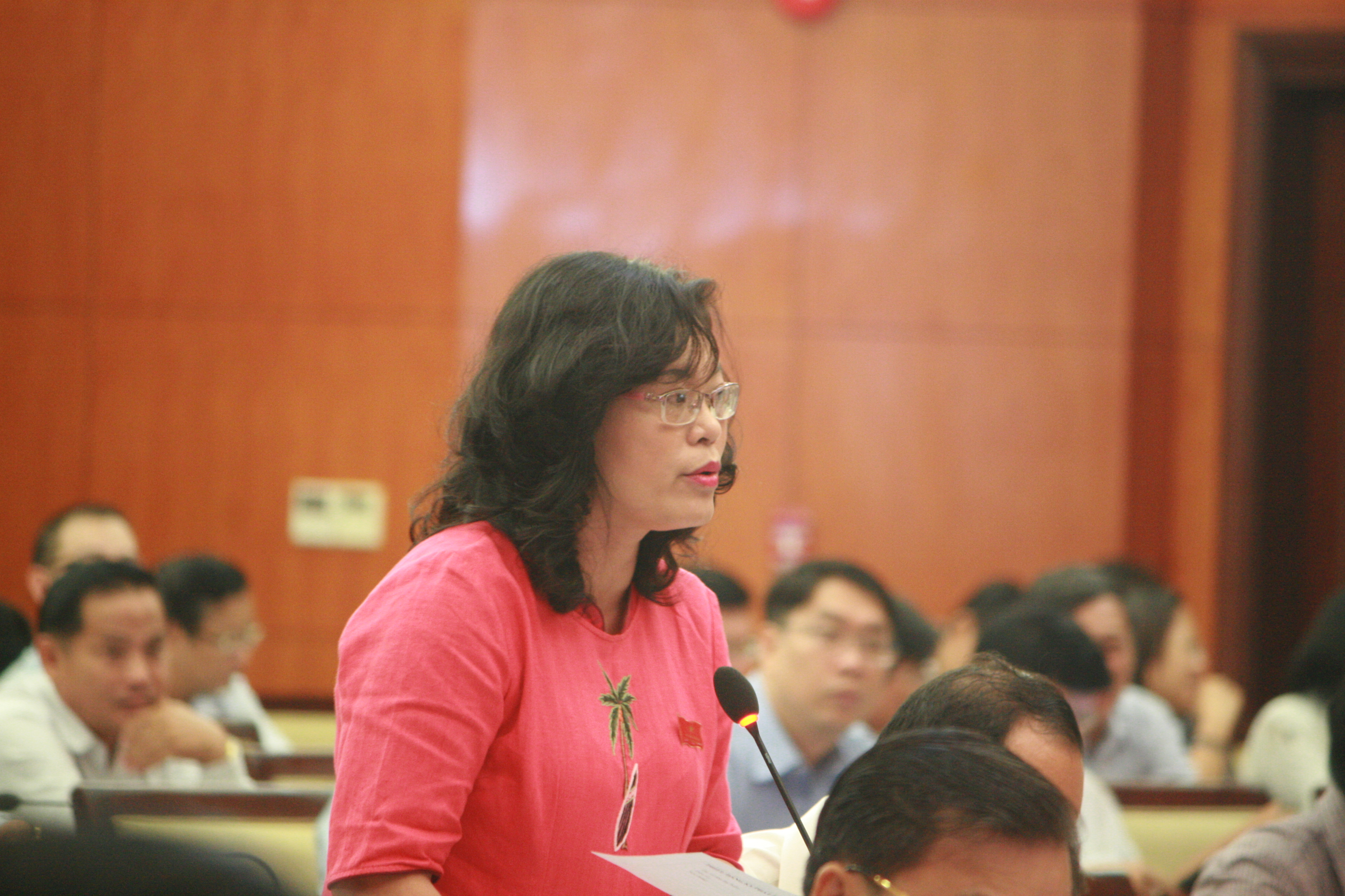 ĐB Hoàng Thị Diễm Tuyêt hỏi về giải cứu heo
