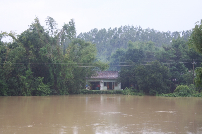 Lu-chong-lu-Binh-Dinh-ngup-lan-trong-dong-nuoc-bac