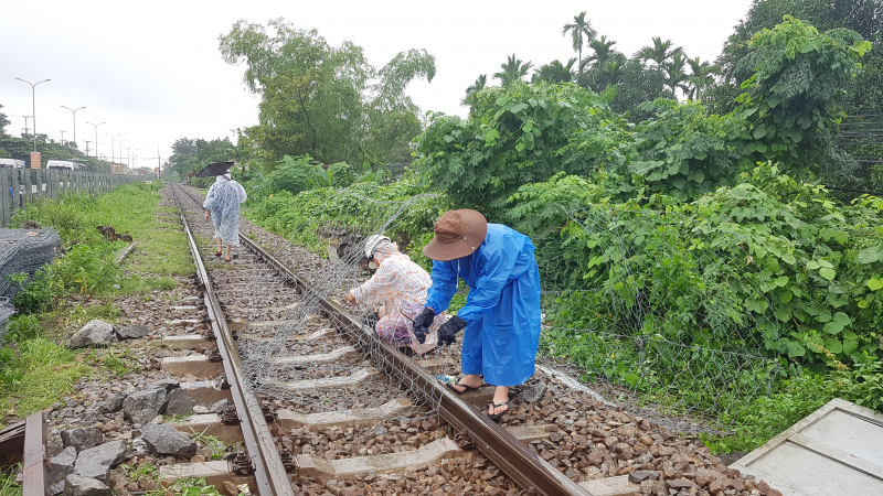 Gia-co-sat-lo-duong-sat-qua-Da-Nang-1-3