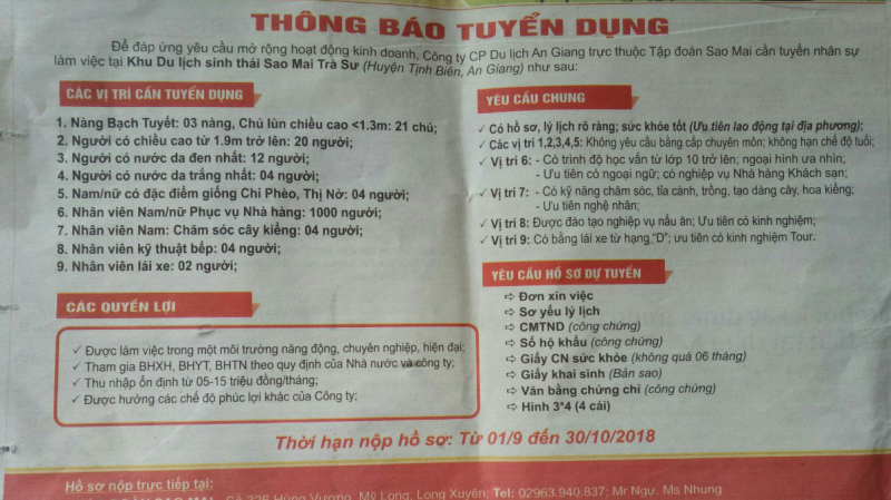 thông báo tuyển dụng