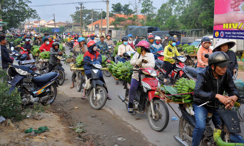 chơ chuối Suối Cát (1)