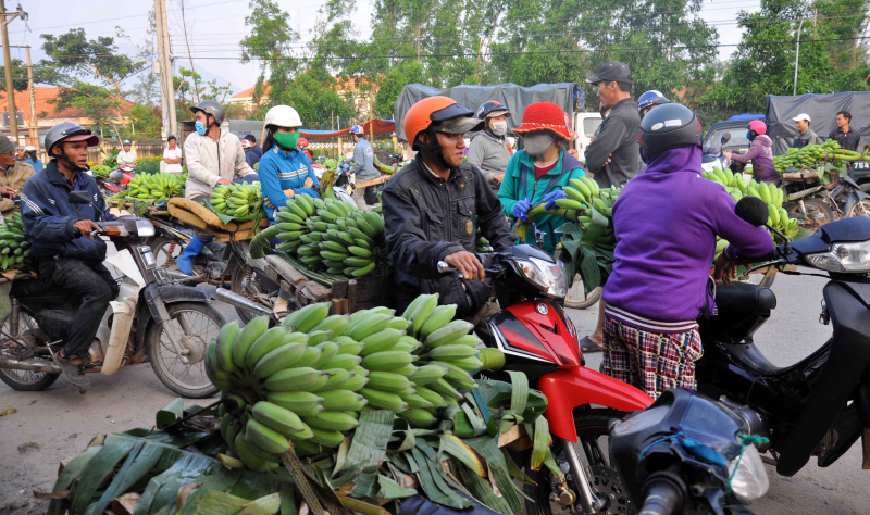 chơ chuối Suối Cát (4)