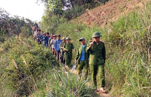 Nghệ An Cháy rừng ở Kỳ Sơn 104ha cây cối bị thiêu 